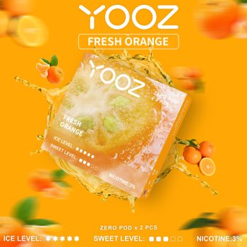 FRESH ORANGE 渲染图