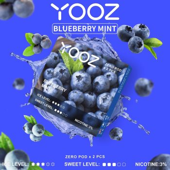 blueberry mint 1